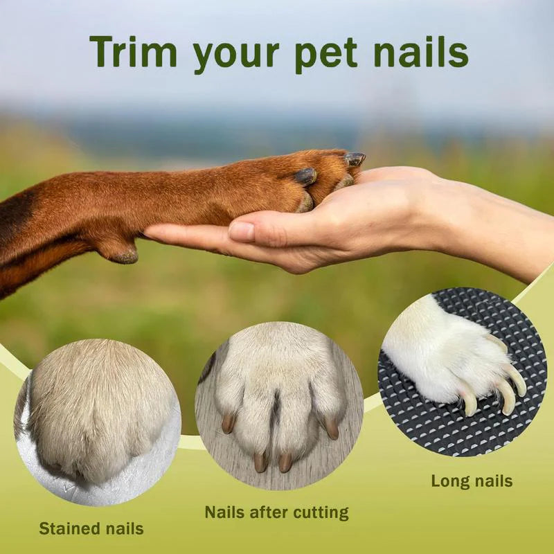 Pet Grooming 2 in-1 Pet LED Nail Clippers with Grinder for Cats & Dogs
